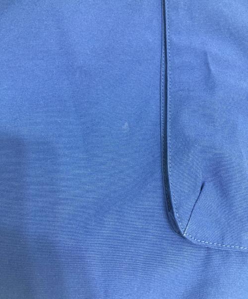 stussy（ステューシー）stussy (ステューシー) カーゴパンツ ブルー サイズ:5の古着・服飾アイテム