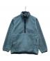 Patagonia（パタゴニア）の古着「シンチラ ハーフジップフリースプルオーバー」｜スカイブルー