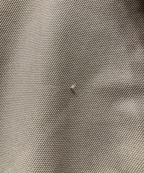 ARC'TERYX（アークテリクス）ARC'TERYX (アークテリクス) Gamma LT ベージュ サイズ:Mの古着・服飾アイテム