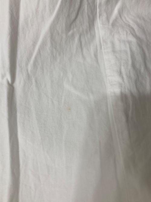 soulberry（ソウルベリー）soulberry (ソウルベリー) シロフクロウのワンピース ホワイト サイズ:Lの古着・服飾アイテム