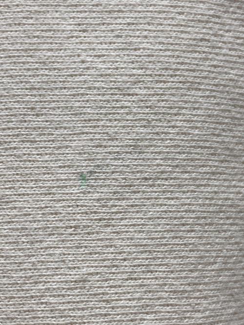Champion REVERSE WEAVE（チャンピオン リバース ウィーブ）Champion REVERSE WEAVE (チャンピオン リバース ウィーブ) 単色タグ復刻クルーネックスウェット ベージュ サイズ:Lの古着・服飾アイテム