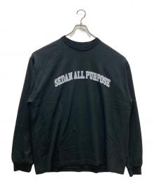 SEDAN ALL-PURPOSE（セダンオールパーパス）の古着「ロングスリーブカットソー/Arch Logo L/S Tee」｜ブラック
