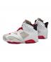 NIKE (ナイキ) Air Jordan 6 