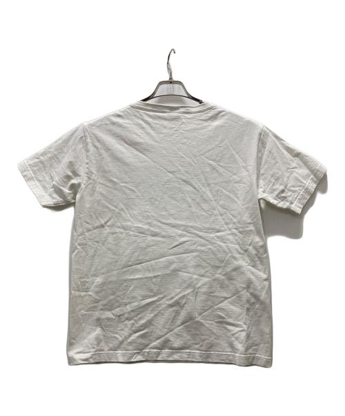 Champion（チャンピオン）Champion (チャンピオン) Cal (カル) カレッジプリントTシャツ/Cal / カリフォルニア州立大学 ホワイト サイズ:Mの古着・服飾アイテム