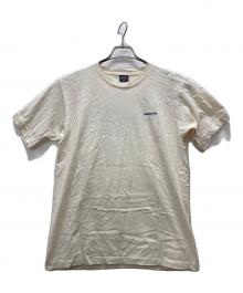 Patagonia（パタゴニア）の古着「90s ロゴTシャツ/Fitzroy Skyline」｜ベージュ