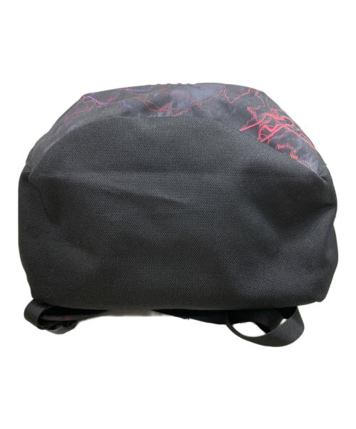 THE NORTH FACE（ザ ノース フェイス）THE NORTH FACE (ザ ノース フェイス) グラフィックプリント VAULT リュック ブラックの古着・服飾アイテム