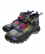 REEBOKリーボック）の古着「ZIG KINETICA II EDGE GORE-TEX/ジグ キネティカ II エッジ GTX」｜ブラック