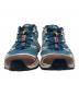 SALOMON (サロモン) XT-6 GTX（エックスティー6　ジーティーエックス） ブルー サイズ:24cm：10000円