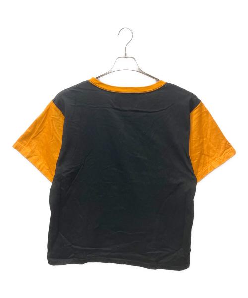 MINDSEEKER（マインドシーカー）MINDSEEKER (マインドシーカー) FLOCKY PRINT TEE ブラック サイズ:４８の古着・服飾アイテム