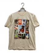 SUPREMEシュプリーム）の古着「19SS ORIGINAL SIN TEE/オリジナルシンTシャツ」｜ベージュ