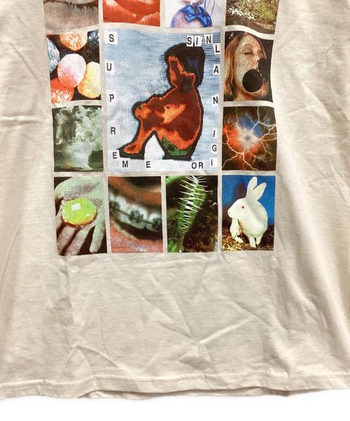 SUPREME（シュプリーム）SUPREME (シュプリーム) 19SS ORIGINAL SIN TEE/オリジナルシンTシャツ ベージュ サイズ:M 未使用品の古着・服飾アイテム