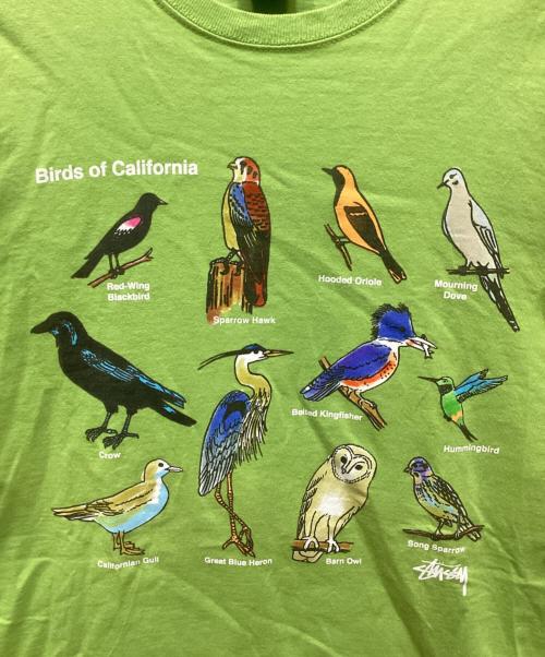 stussy（ステューシー）stussy (ステューシー) birds of california tee/バーズオブカリフォォルニアTシャツ 黄緑 サイズ:Lの古着・服飾アイテム