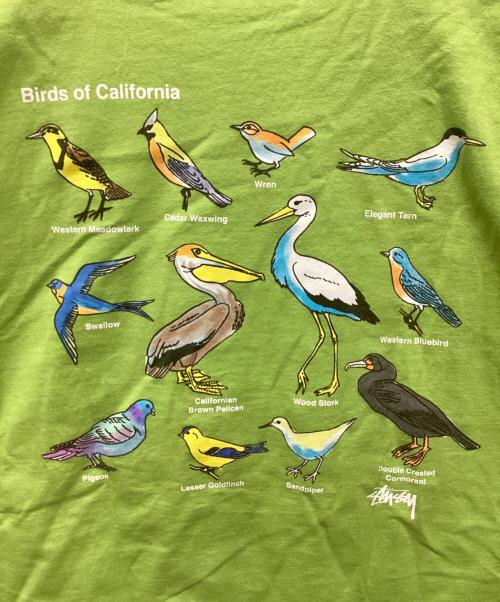 stussy（ステューシー）stussy (ステューシー) birds of california tee/バーズオブカリフォォルニアTシャツ 黄緑 サイズ:Lの古着・服飾アイテム