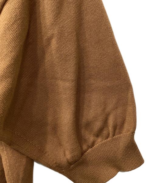THE SHINZONE（ザ シンゾーン）THE SHINZONE (ザ シンゾーン) ニットポロシャツ ブラウン サイズ:freeの古着・服飾アイテム