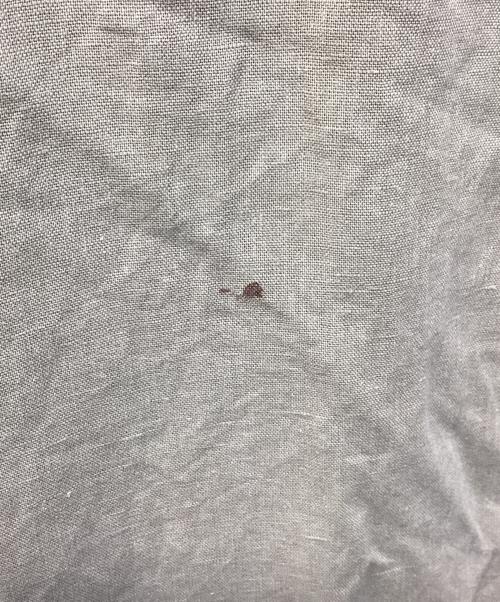 GAP（ギャップ）GAP (ギャップ) リネンブレンドSSシャツ グリーン サイズ:Lの古着・服飾アイテム