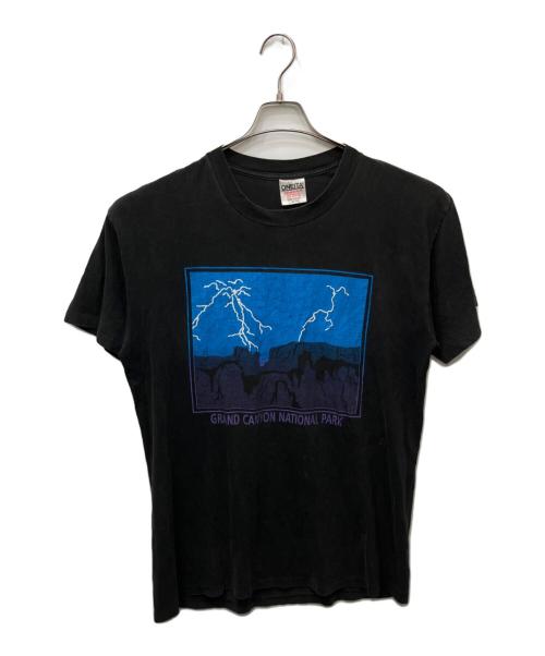 ONEITA（オニータ）ONEITA (オニータ) GRAND CANYON NATIONAL PARK ブラック サイズ:Lの古着・服飾アイテム