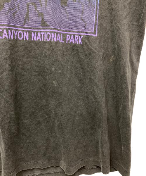 ONEITA（オニータ）ONEITA (オニータ) GRAND CANYON NATIONAL PARK ブラック サイズ:Lの古着・服飾アイテム