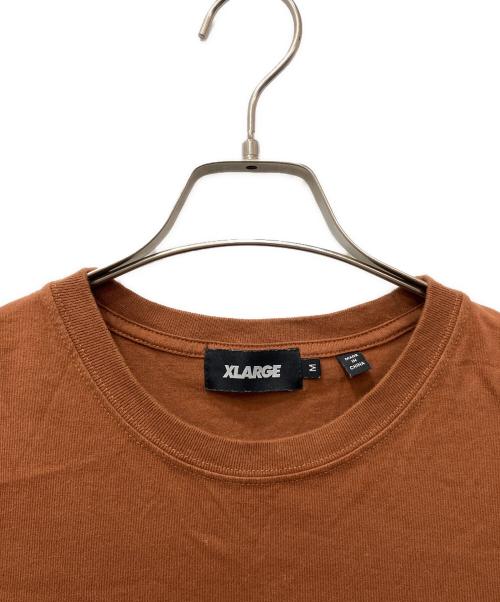 X-LARGE（エクストララージ）X-LARGE (エクストララージ) TRIBAL LAYERED L/S TEE グレー×ブラウン サイズ:Mの古着・服飾アイテム