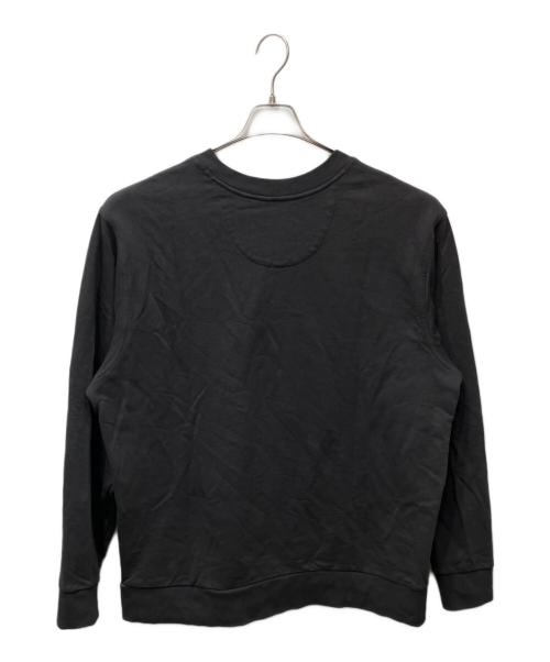 Patagonia（パタゴニア）Patagonia (パタゴニア) DAILY CREWNECK SWEATSH（デイリークルーネックスウェットシャツ）IRT グレー サイズ:Lの古着・服飾アイテム