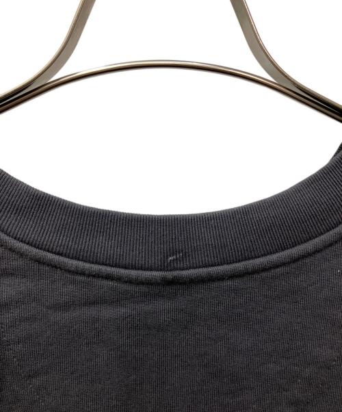 Patagonia（パタゴニア）Patagonia (パタゴニア) DAILY CREWNECK SWEATSH（デイリークルーネックスウェットシャツ）IRT グレー サイズ:Lの古着・服飾アイテム