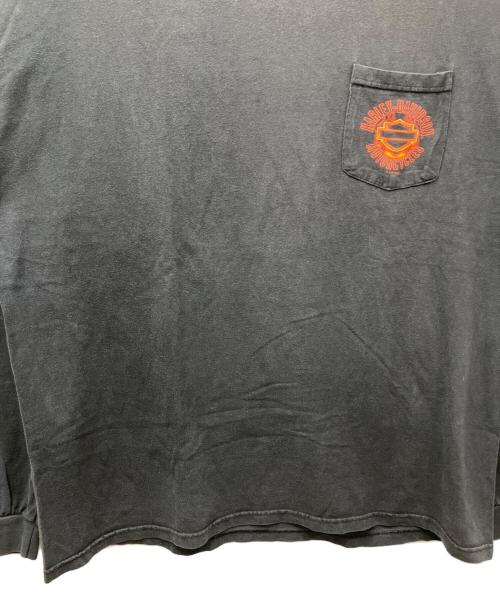 HARLEY-DAVIDSON（ハーレーダビッドソン）HARLEY-DAVIDSON (ハーレーダビッドソン) 00sファイヤーフレイムロングスリーブカットソー ブラック サイズ:2XLの古着・服飾アイテム