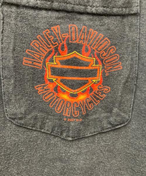 HARLEY-DAVIDSON（ハーレーダビッドソン）HARLEY-DAVIDSON (ハーレーダビッドソン) 00sファイヤーフレイムロングスリーブカットソー ブラック サイズ:2XLの古着・服飾アイテム