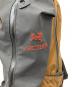 ARC'TERYX (アークテリクス) BEAMS (ビームス) Arro 22 Backpack ブラウン×ブラック：15000円