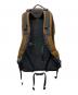 中古・古着 ARC'TERYX (アークテリクス) BEAMS (ビームス) Arro 22 Backpack ブラウン×ブラック：15000円