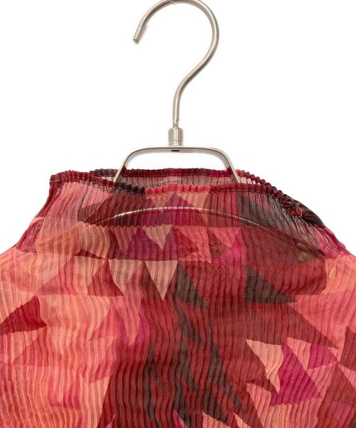 ISSEY MIYAKE（イッセイミヤケ）ISSEY MIYAKE (イッセイミヤケ) 総柄シアープリーツカットソー レッド サイズ:２の古着・服飾アイテム