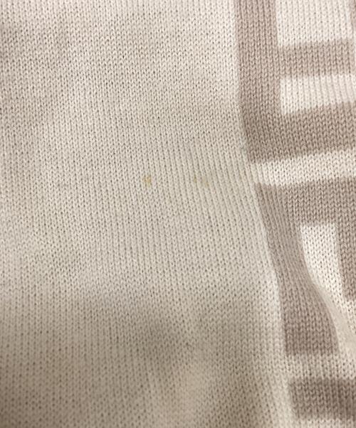 FENDI（フェンディ）FENDI (フェンディ) ズッカ柄マフラー ベージュの古着・服飾アイテム