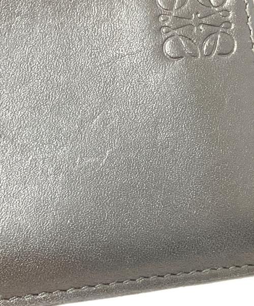 LOEWE（ロエベ）LOEWE (ロエベ) フラグメントケース マルチカラーの古着・服飾アイテム