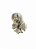 CHROME HEARTS (クロムハーツ) CHプラス / ホースシュー カフス：34800円
