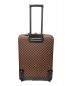 LOUIS VUITTON (ルイ ヴィトン) ペガス65 サイズ:65：178000円