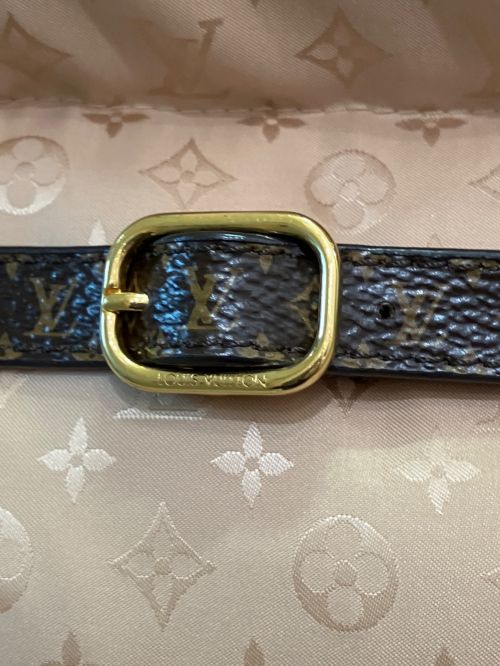 LOUIS VUITTON（ルイ ヴィトン）LOUIS VUITTON (ルイ ヴィトン) フーデッドダウンジャケット シャンパンゴールド サイズ:38の古着・服飾アイテム
