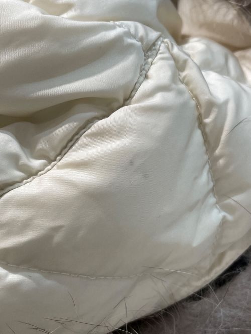 MONCLER（モンクレール）MONCLER (モンクレール) CHITALPA ホワイト サイズ:00の古着・服飾アイテム