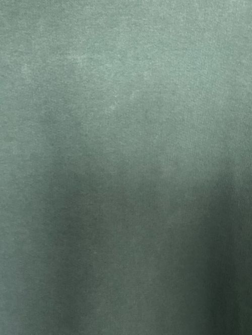 BALENCIAGA（バレンシアガ）BALENCIAGA (バレンシアガ) バックロゴプリント オーバーサイズフーディー グリーン サイズ:XSの古着・服飾アイテム