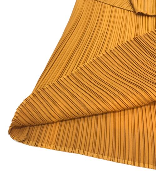 christianwijnants（クリスチャンワイナンツ）christianwijnants (クリスチャンワイナンツ) ティアードプリーツスカート エンジ サイズ:SIZE 36の古着・服飾アイテム