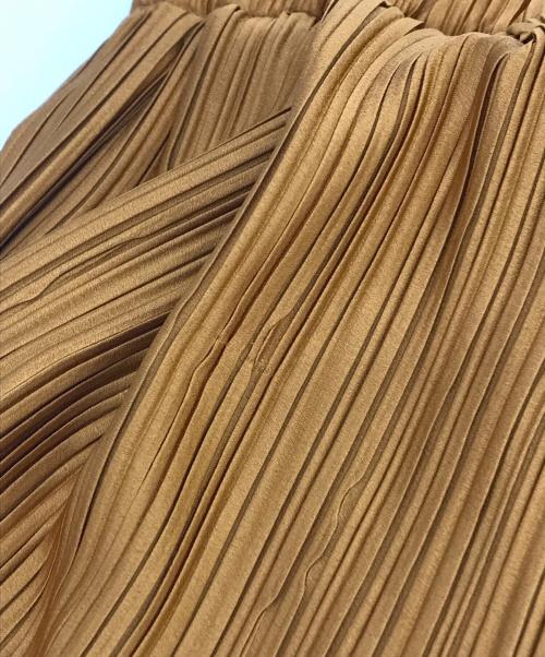 christianwijnants（クリスチャンワイナンツ）christianwijnants (クリスチャンワイナンツ) ティアードプリーツスカート エンジ サイズ:SIZE 36の古着・服飾アイテム