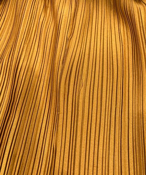 christianwijnants（クリスチャンワイナンツ）christianwijnants (クリスチャンワイナンツ) ティアードプリーツスカート エンジ サイズ:SIZE 36の古着・服飾アイテム