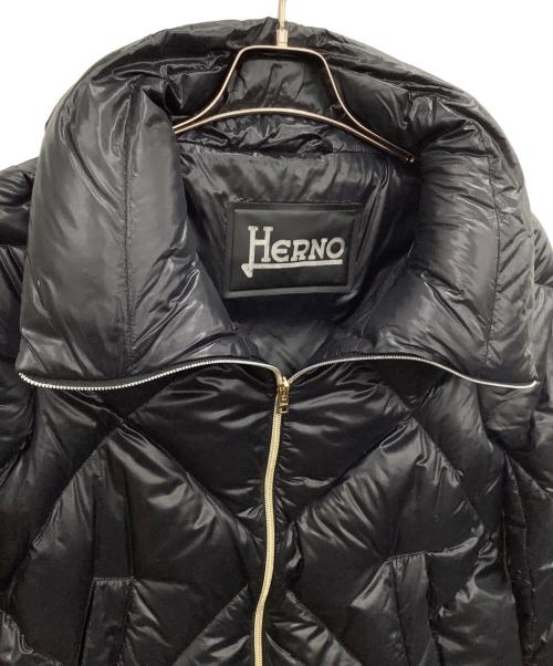 HERNO（ヘルノ）HERNO (ヘルノ) ダウンブルゾン ブラック サイズ:42の古着・服飾アイテム
