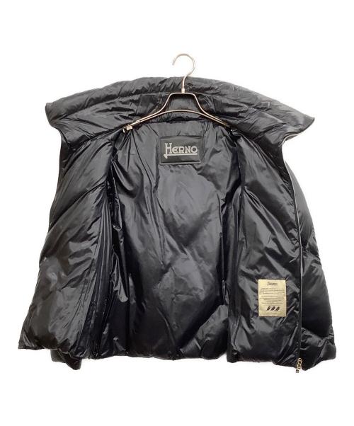 HERNO（ヘルノ）HERNO (ヘルノ) ダウンブルゾン ブラック サイズ:42の古着・服飾アイテム
