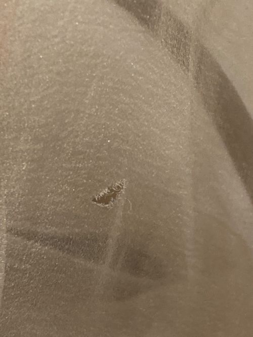 FRAY ID（フレイ アイディー）FRAY ID (フレイ アイディー) グロッシーレースジャガードマーメイドワンピース ベージュ サイズ:SIZE 0の古着・服飾アイテム