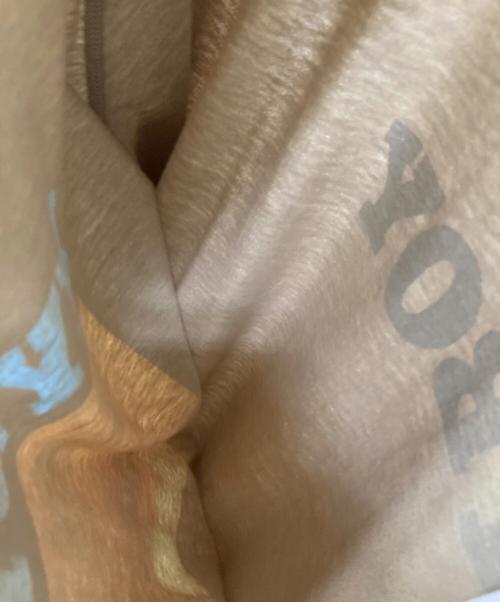 Hysteric Glamour（ヒステリックグラマー）Hysteric Glamour (ヒステリックグラマー) PLAY BOY (プレイボーイ) TELL ME MORE Tシャツ カーキ サイズ:XLの古着・服飾アイテム