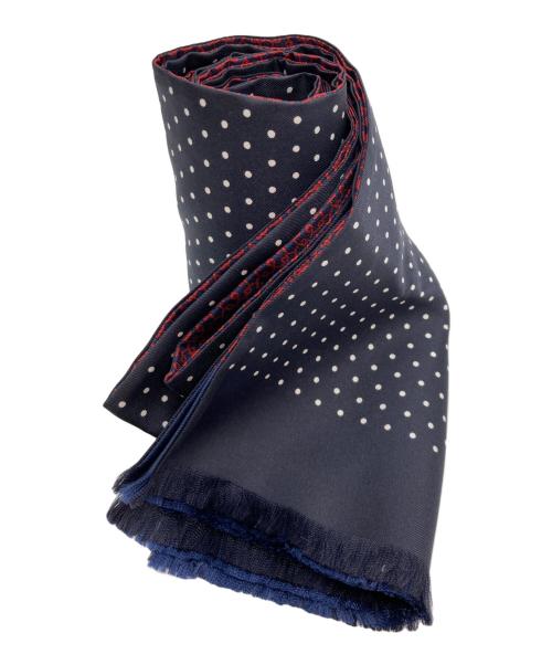 HERMES（エルメス）HERMES (エルメス) シルクストール ネイビー×レッドの古着・服飾アイテム