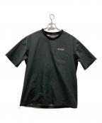 D-VECディーベック）の古着「GORE-TEX INFINIUM ZIP TEE」｜グリーン