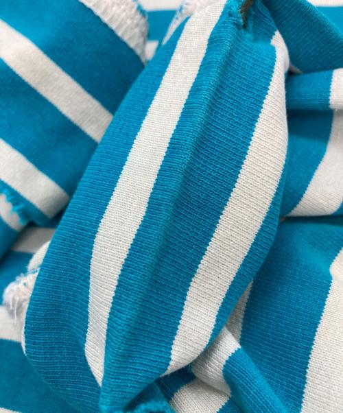 BALMAIN（バルマン）BALMAIN (バルマン) ダメージ加工ボーダーカットソー ブルー×ホワイト サイズ:Sの古着・服飾アイテム