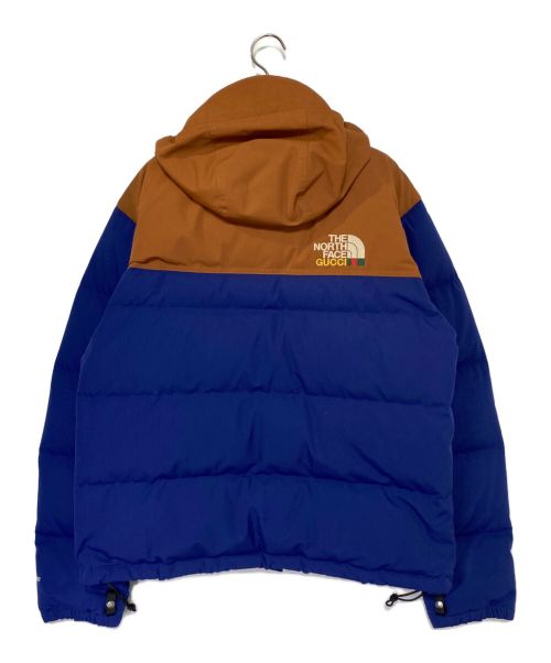THE NORTH FACE（ザ ノース フェイス）THE NORTH FACE (ザ ノース フェイス) GUCCI (グッチ) ダウンジャケット ブルー×ブラウン サイズ:Mの古着・服飾アイテム