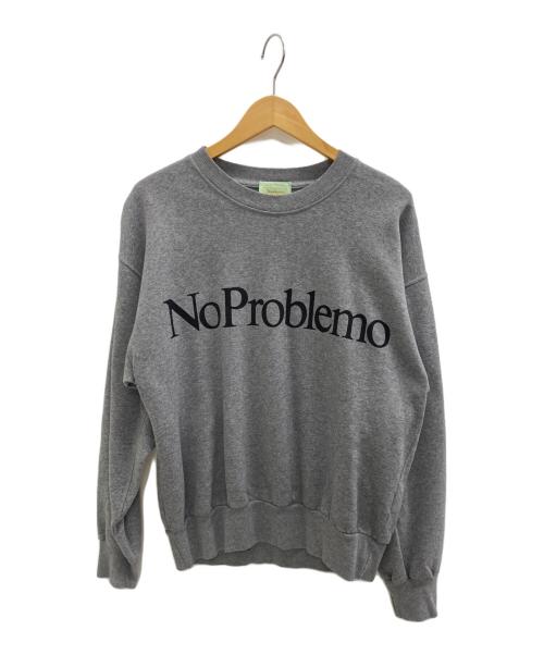 ARIES（アリーズ）ARIES (アリーズ) NO PROBLEMO SWEATSHIRTS グレー サイズ:SIZE Mの古着・服飾アイテム