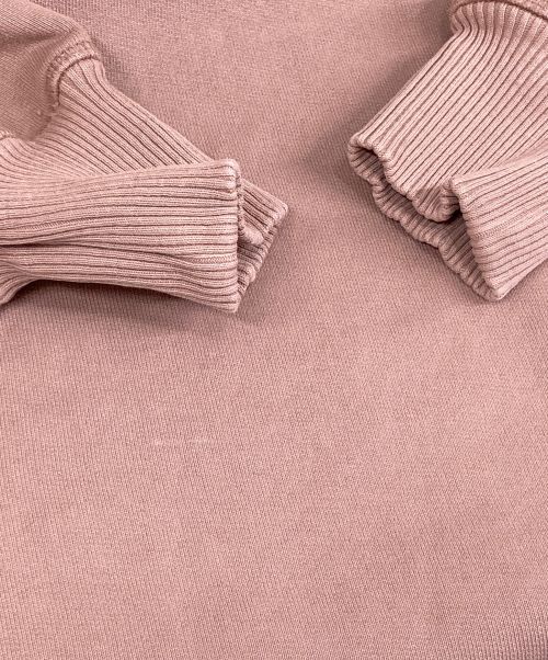 Acne studios（アクネ ストゥディオス）Acne studios (アクネ ストゥディオス) オーバーサイズロゴフーディ FN-WN-SWEA000134 ピンク サイズ:XXSの古着・服飾アイテム