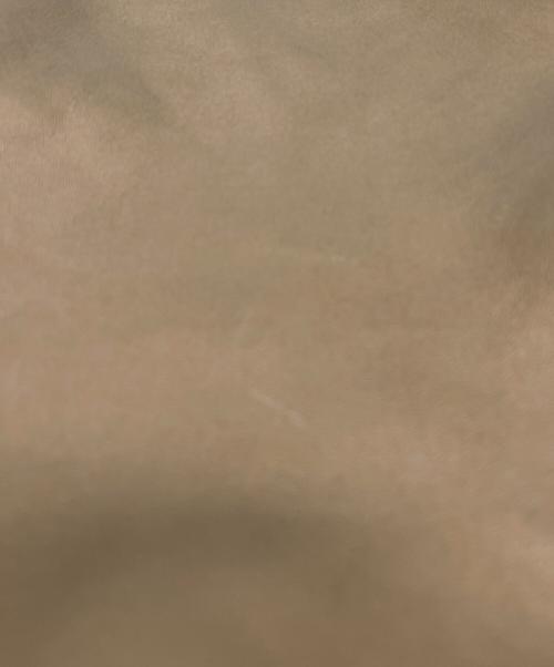 LOEWE（ロエベ）LOEWE (ロエベ) ショルダーバッグ フラメンコの古着・服飾アイテム